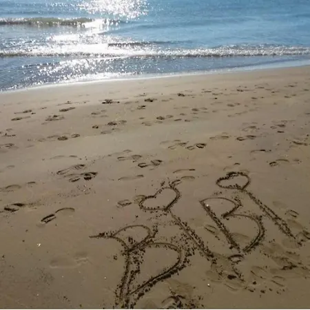 Comfortable And Bright Flat - Beahost 아파트 *