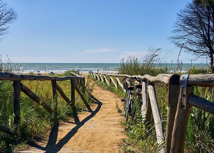 Comfortable And Bright Flat - Beahost *