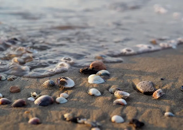 Apartmán Comfortable And Bright Flat - Beahost *