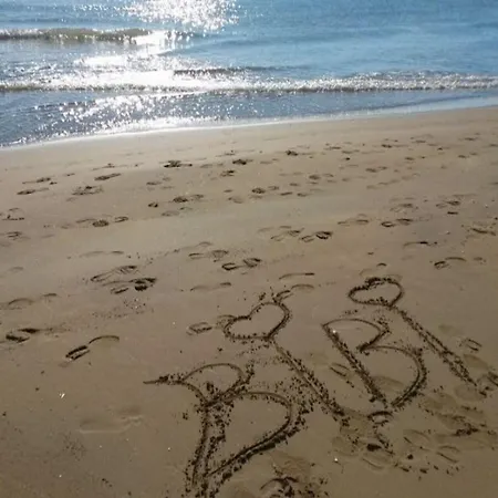 Comfortable And Bright Flat - Beahost * Бибионе