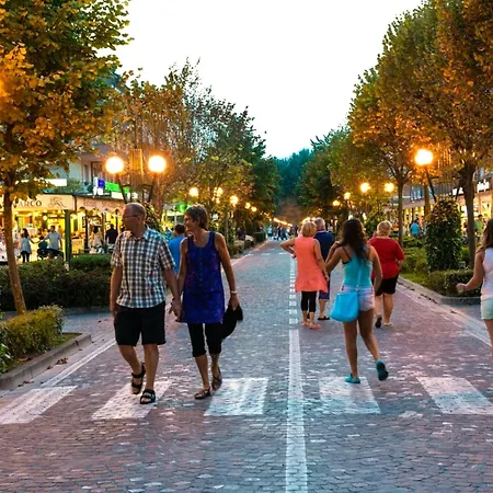 Comfortable And Bright Flat - Beahost Appartamento