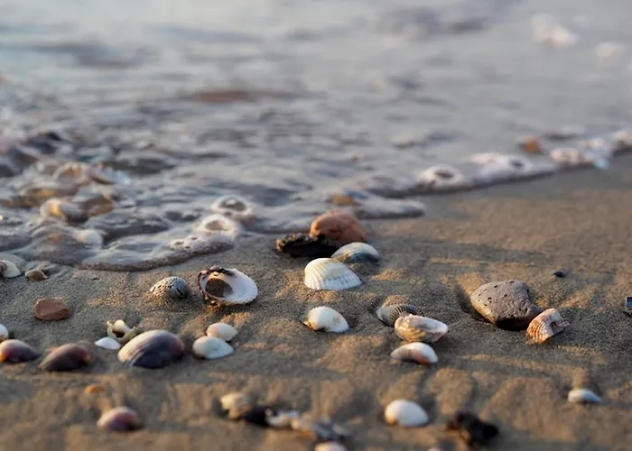 Comfortable And Bright Flat - Beahost